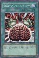 【特価品】洗脳－ブレインコントロール EE3-JP218(スーパーレア）