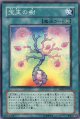 【特価品】宝玉の樹 DP07-JP024（スーパーレア）