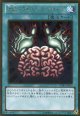 【特価品】洗脳－ブレインコントロール GDB1-JP032（ゴールドレア）
