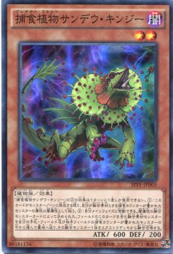 画像1: 【特価品】捕食植物サンデウ・キンジー SPFE-JP005（スーパーレア）