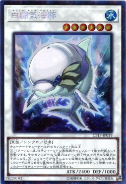画像1: 【特価品】白闘気海豚 CP17-JP019（コレクターズレア）