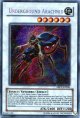 【特価品】英語版 地底のアラクネー ABPF-EN096（シークレットレア）
