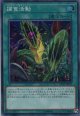 【特価品】捕食活動 DP22-JP047（スーパーレア）