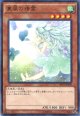 【特価品】裏風の精霊 SHVI-JP039（レア）