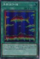 【特価品】魚群探知機 DP26-JP020（スーパーレア）