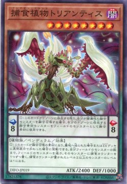 画像1: 捕食植物トリアンティス DIFO-JP019（ノーマル）
