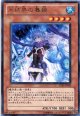 【特価品】氷結界の舞姫 STBL-JP033（レア）