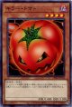 キラー・トマト DR02-JPC04（ノーマル）