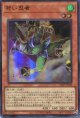 【特価品】若い忍者 VJMP-JP220（ウルトラレア）