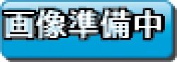 画像1: 氷結界の虎将 ガンターラ TW01-JP027（ノーマルパラレルレア）
