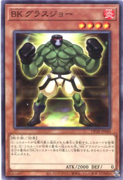 画像1: ＢＫ グラスジョー DP28-JP040（ノーマル）