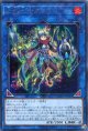 【特価品】星杯剣士アウラム COTD-JP049（シークレットレア）
