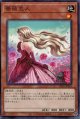 薔薇恋人 SD45-JP015（ノーマル）