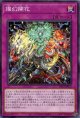 燦幻開花 INFO-JP073（ノーマル）