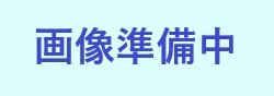 画像1: アルトメギア・マスターワーク－継承－ DUAD-JP056（ノーマル）