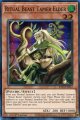 【特価品】英語版 霊獣使いの長老 RA03-EN012 1st（スーパーレア）