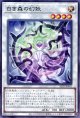 白き森の幻妖 ALIN-JP041（レア）