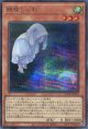 朔夜しぐれ（新規イラスト） QCAC-JP053（シークレットレア）