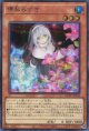 儚無みずき（新規イラスト） QCAC-JP052（シークレットレア）