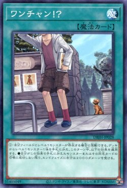 画像1: ワンチャン！？ DBJH-JP028（ノーマル）