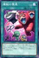魔獣の懐柔 DBJH-JP029（ノーマル）