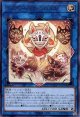 うかのみつねのおなり DUAD-JP051（レア）