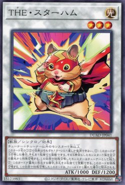 画像1: ＴＨＥ・スターハム DUAD-JP041（ノーマル）