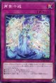 再世十戒 DUAD-JP077（ノーマル）