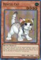 【特価品】英語版 レスキューキャット（新規イラスト） RA02-EN001（スーパーレア）