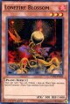 【特価品】英語版 ローンファイア・ブロッサム FUEN-EN046 1st（スーパーレア）