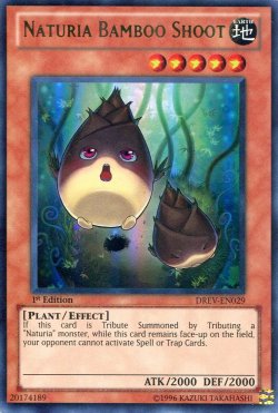 画像1: 【特価品】英語版 ナチュル・バンブーシュート DREV-EN029 1st（ウルトラレア）