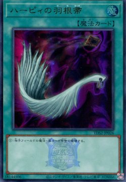 画像1: 【特価品】ハーピィの羽根帚 TDS2-JP026（ウルトラレア）