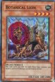 【特価品】英語版 ボタニカル・ライオ CSOC-EN099（スーパーレア）