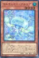 【特価品】マルチャミー・プルリア LOCH-JP046（スーパーレア）