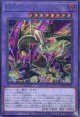 【特価品】四天の龍 スターヴ・ヴェノム・フュージョン・ドラゴン LOCR-JP013（シークレットレア）
