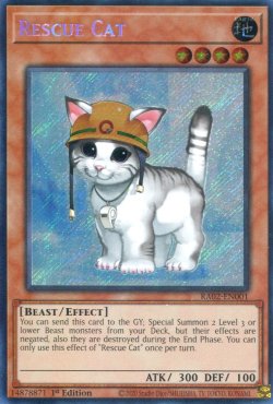 画像1: 【特価品】英語版 レスキューキャット（新規イラスト） RA02-EN001 1st（シークレットレア）