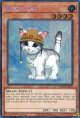 【特価品】英語版 レスキューキャット（新規イラスト） RA02-EN001 1st（シークレットレア）