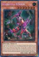 【特価品】英語版 クシャトリラ・フェンリル RA05-EN024 1st（シークレットレア）