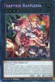【特価品】英語版 フレシアの蟲惑魔 RA02-EN034 1st（シークレットレア）