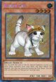 【特価品】英語版 レスキューキャット（通常イラスト） RA02-EN001 1st（シークレットレア）