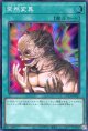 【特価品】突然変異 LOCH-JP067（スーパーレア）