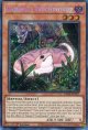 【特価品】英語版 未界域のツチノコ RA04-EN027 1st（シークレットレア）