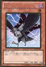 画像: 【特価品】D.D.クロウ GS04-JP006（ゴールドレア）