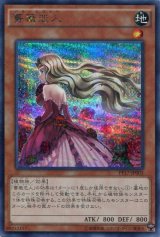 画像: 【特価品】薔薇恋人 PP17-JP003（シークレットレア）
