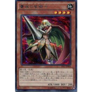 画像: 【特価品】薔薇の聖騎士 PP17-JP004（シークレットレア）