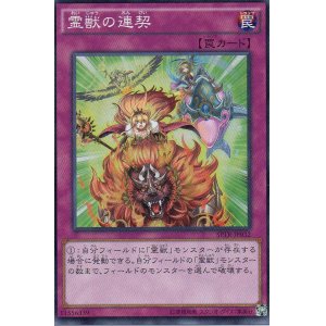 画像: 【特価品】霊獣の連契 SPTR-JP032（スーパーレア）