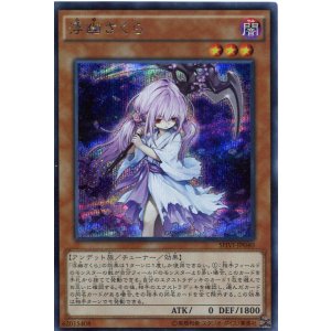 画像: 【特価品】浮幽さくら SHVI-JP040（シークレットレア）