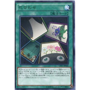 画像: 【特価品】花合わせ CPF1-JP040（レア）