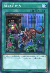 画像: 【特価品】隣の芝刈り RATE-JP066（スーパーレア）