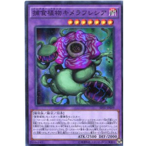 画像: 【特価品】捕食植物キメラフレシア SPFE-JP009（スーパーレア）